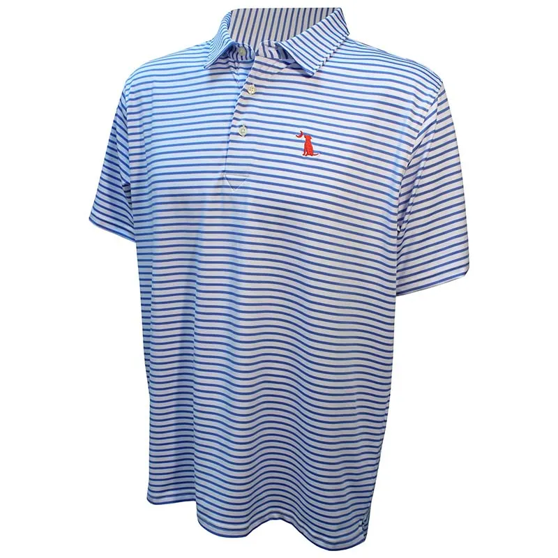 Edisto Stripe Polo