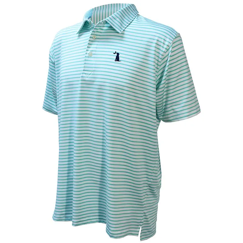 Edisto Stripe Polo