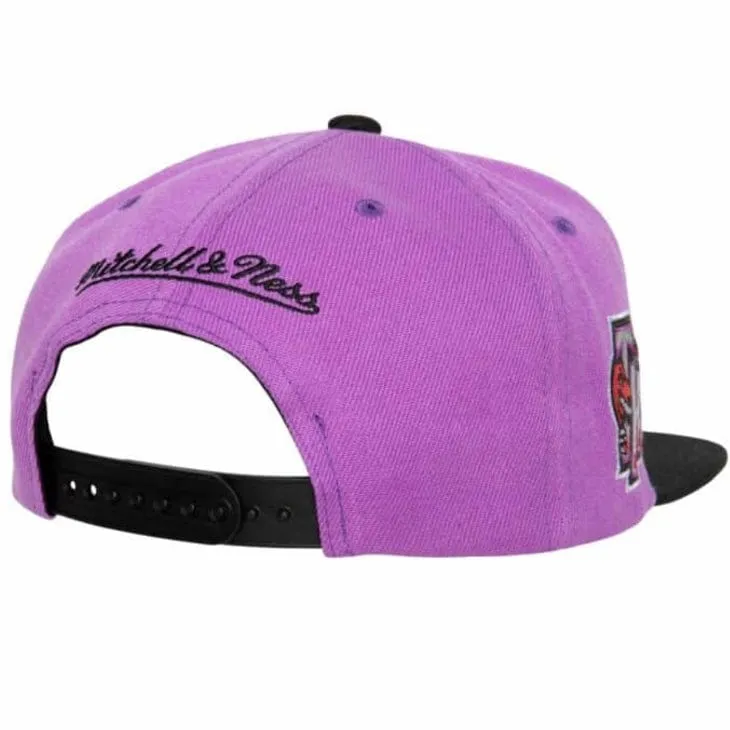 Mitchell & Ness NBA Toronto Raptors Side Core 2.0 HWC Snapback (Purple/Black)