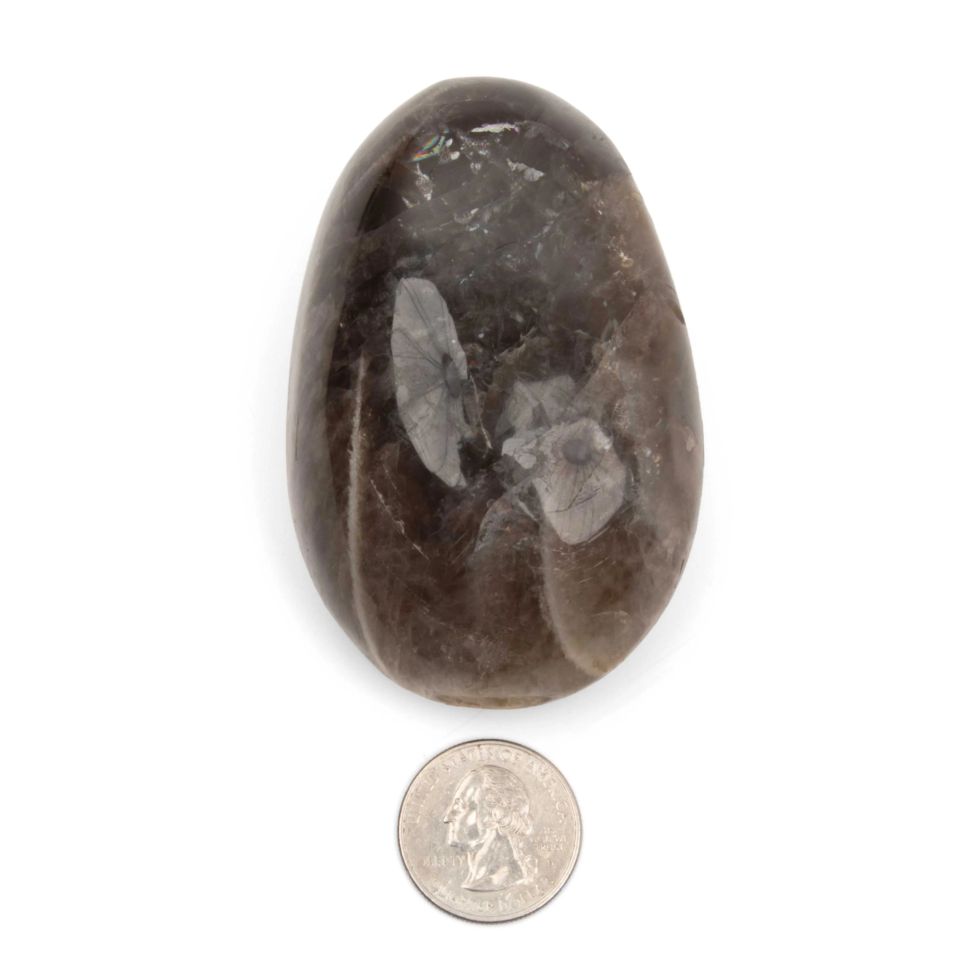 Moonstone - Black, Palm, Polished