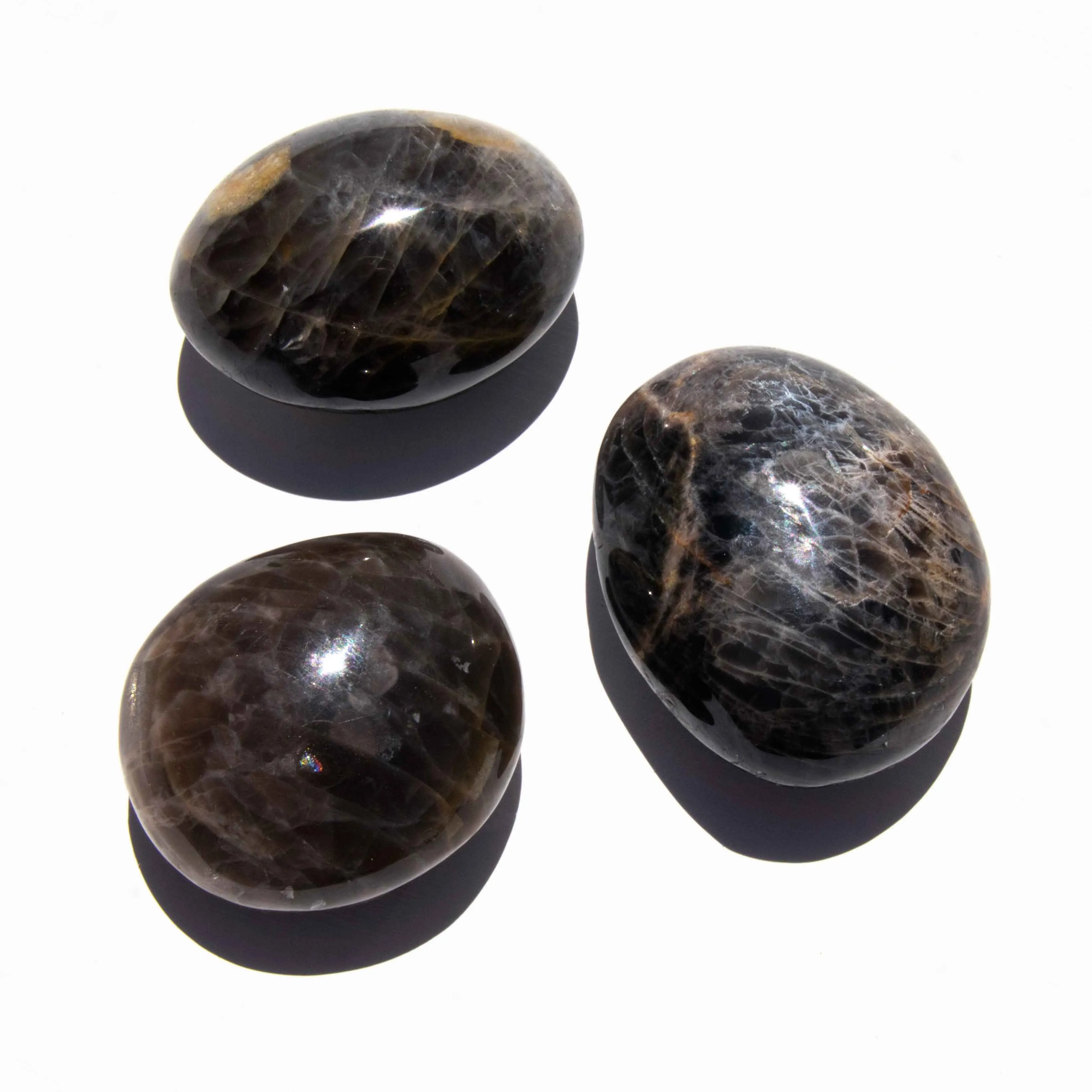 Moonstone - Black, Palm Stones